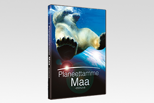 DVD -packshot DVD -packshot