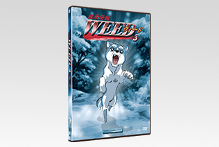 Packshot DVD